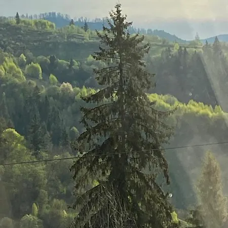 карпатська казка Lodge Slawske
