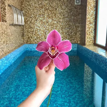 карпатська казка