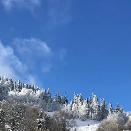 карпатська казка Jaktstuga