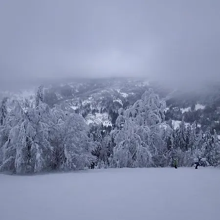 Jaktstuga карпатська казка Slavske